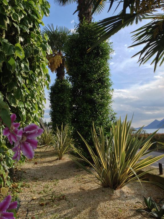 Albergo Villa Edera Malcesine Eksteriør billede